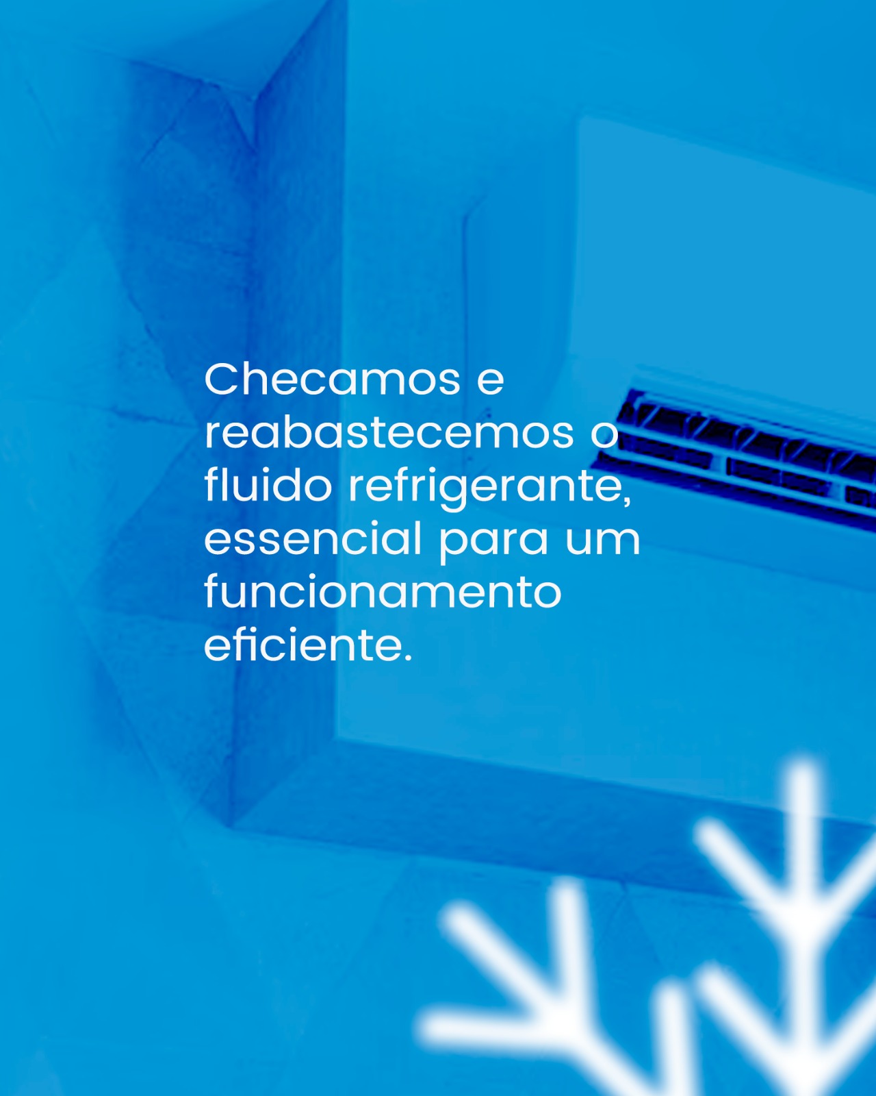 WhatsApp Image 2025-07-15 at 23.05.57 (1)