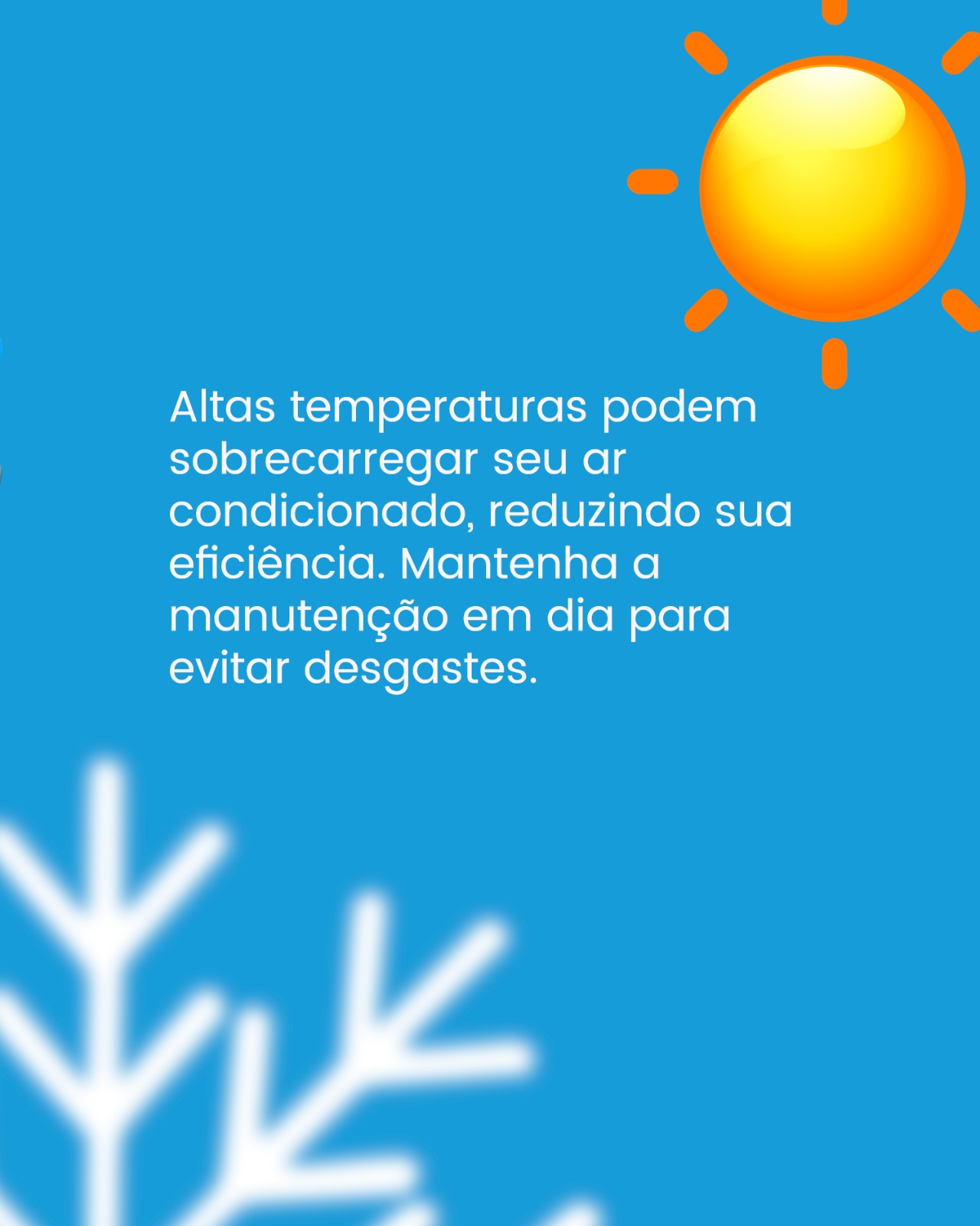 WhatsApp Image 2025-07-15 at 23.05.59